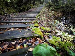 -叠溪松坪沟景区