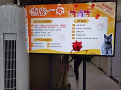 -中农国际动物医院24小时·猫科·骨科·急重症中心