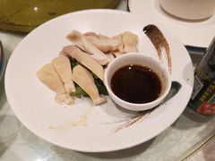 白切肚尖-金八仙酒店