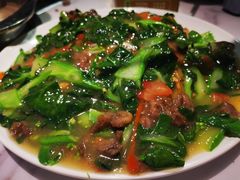 -三毛牛肉店(福强店)