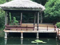 -上海滨江森林公园