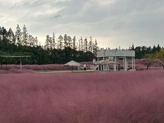 -嘉北郊野公园