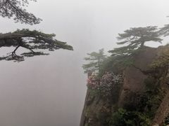-黄山白云宾馆