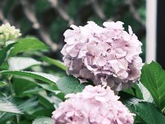 -范蠡湖公园