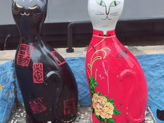 -猫咪博物馆(顶澳仔猫街店)