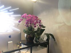 点击看大图 -SEBASTIAN塞巴斯汀