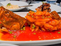 松鼠大桂鱼-绿波廊(豫园店)