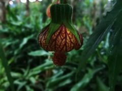 -南宫温泉水世界