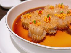 -甄御•海鲜新青岛菜(麦岛店)