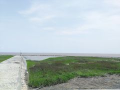 -南汇嘴观海公园