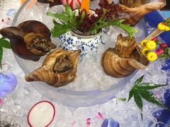 冰镇矶煮小海螺-古田居·特色寿司料理(星之岛旗舰店)