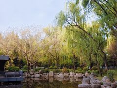 -唐城墙遗址公园