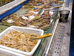 -一方渔歌蒸汽海鲜自助(文化路万达广场店)