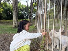 -福建鲤鱼洲酒店