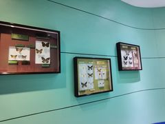 -上海昆虫博物馆