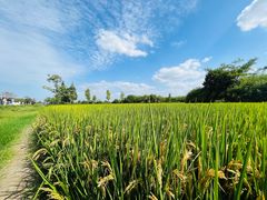 -良渚古城遗址公园