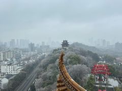 -黄鹤楼公园(黄鹤楼)