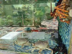 -金河半岛园林酒家(金融城店)