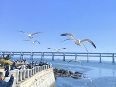-黑石礁公园