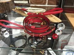 -爱派特动物医院·全科诊疗中心