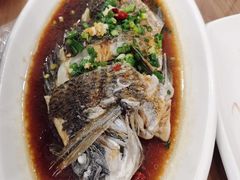 广式铜盆鱼-洲晓鲜·舟山海鲜大排档(朱家尖风景区店)