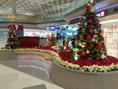 -香港国际机场-T2航站楼