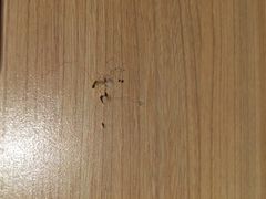 味千拉面(上海宜山路店)-味千拉面(光启城时尚购物中心店)