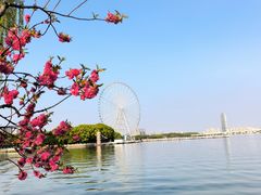 -无锡蠡湖国家湿地公园-蠡园