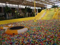 游乐设施-南宫五洲植物乐园