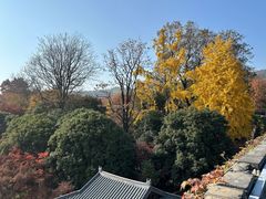 -虞山城墙