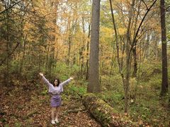 -五营红松林海景区