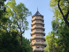 -灵谷景区