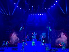 -珠海横琴长隆《卡卡虎奇遇记》