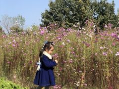 -济南国际园博园