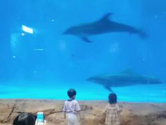 -华夏文旅海洋公园