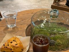 -自由生长植物工作室(深港花卉中心店)