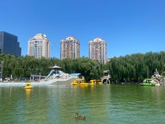 -团结湖公园