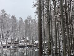 -波尔登森林公园