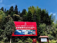 -紫鹊界梯田景区