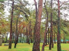 -Club Med地中海俱乐部·桂林度假村