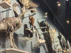 -浙江自然博物院(杭州馆)