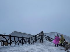 -金子山原生态旅游风景区