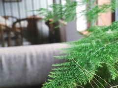 -煮雨小筑(斜塘老街店)