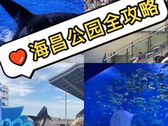 -上海海昌海洋公园