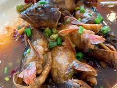 -金海湾海鲜排档(朱家尖店)