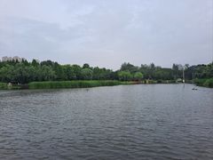 -前关湿地公园