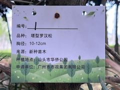-华侨公园