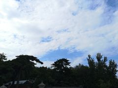 -阳台山自然风景区