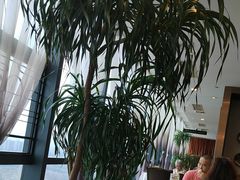 -汤臣·空中餐厅·严选粤菜(石湾世博广场店)