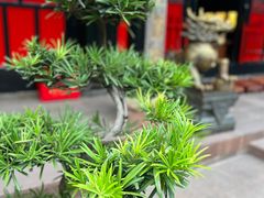 -成都市文殊院